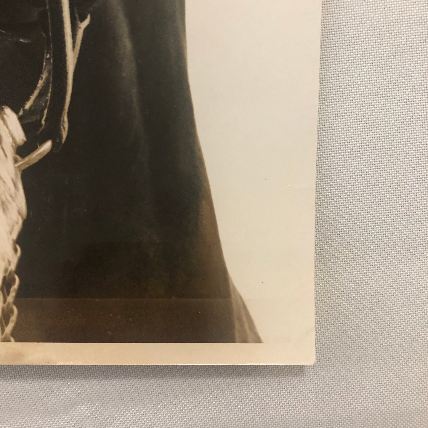 Vintage Horse Racing Photo Photograph Pine Point