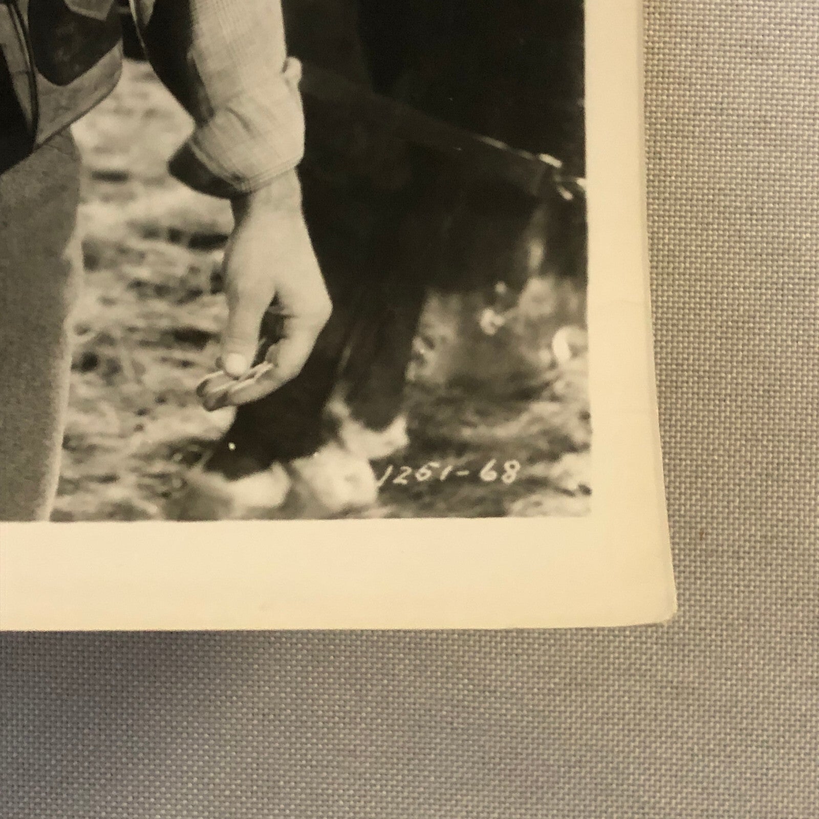 Omaha Trail Movie Film Photo Photograph Print James Craig Pamela Blake Vintage