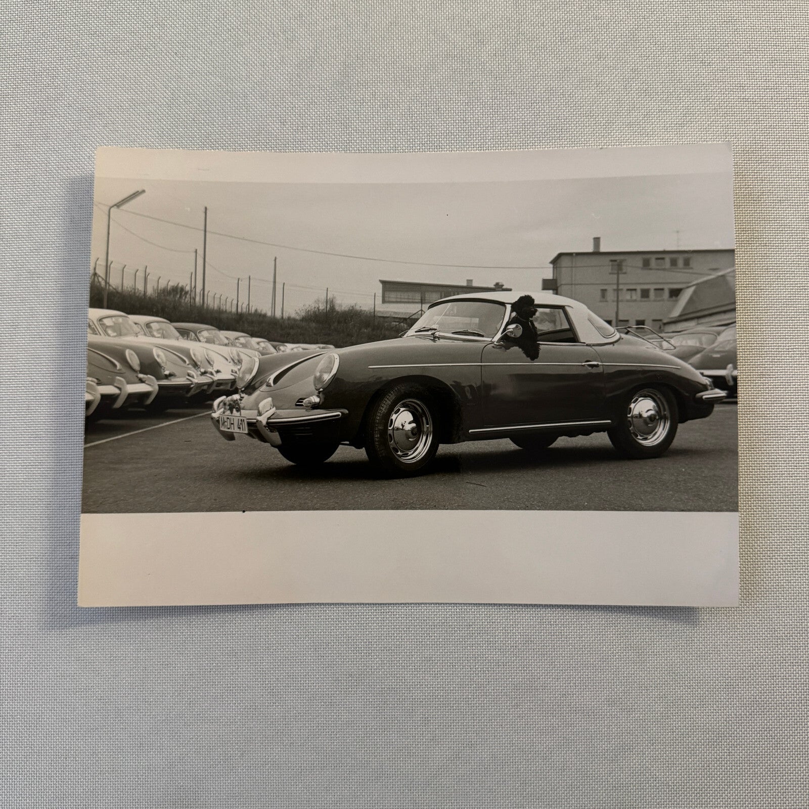 Porsche 356 Car with Dog Photo Photograph Vintage