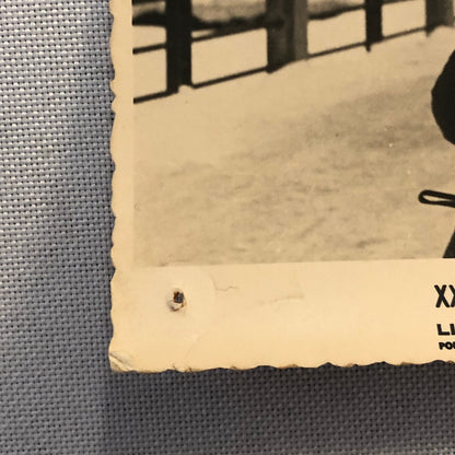 Vintage Rallye Automobile Monte Carlo Men Snowball Fight Photo Photograph Lot 3x