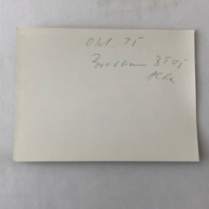 Vintage Brabham Racing Martini Alfa Romeo Car Photo Photograph 1975 ? 