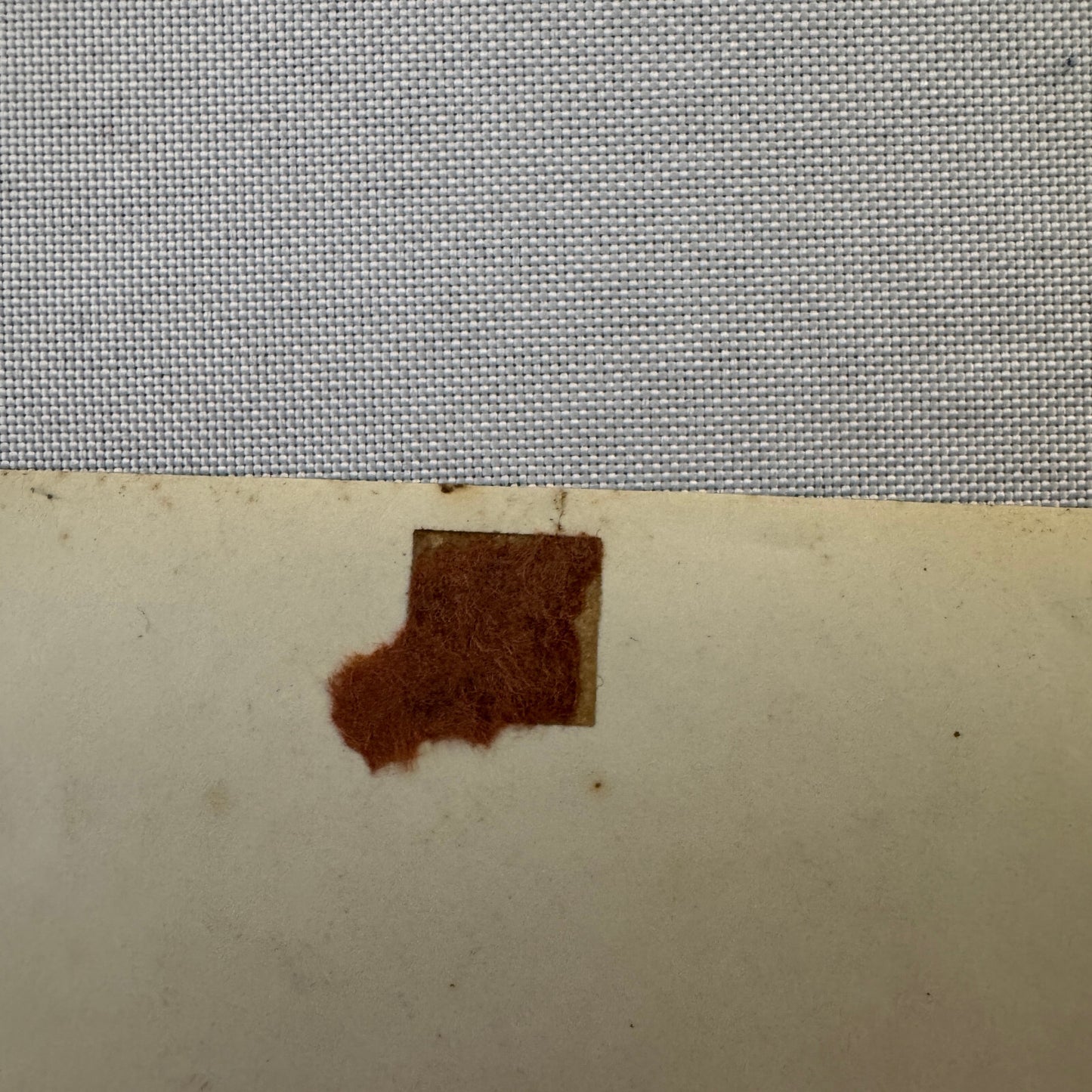 Circus Performer Acrobat Act Photo Photograph Print Vintage Troupe Frilli