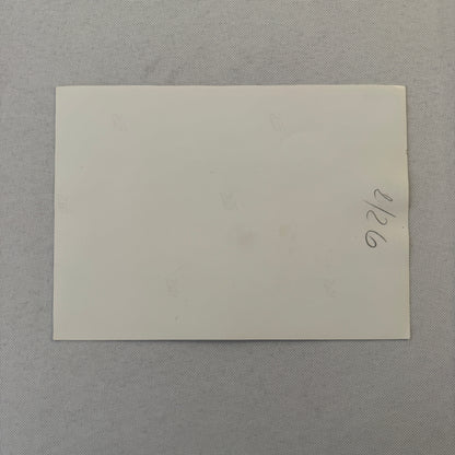 Vintage Porsche Racing Car Photo Photograph