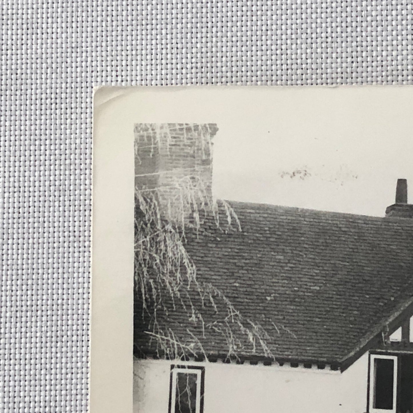 Vintage Antqiue Car Rally Photo Photograph Print 1981 ? 