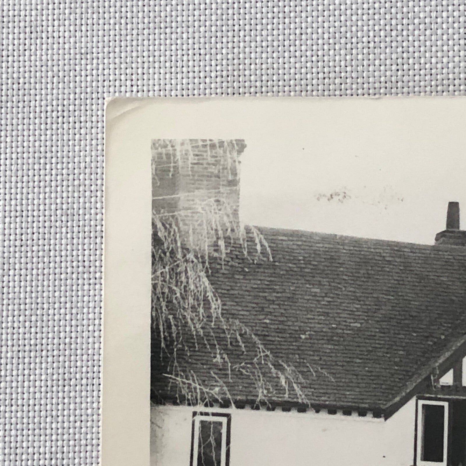 Vintage Antqiue Car Rally Photo Photograph Print 1981 ? 