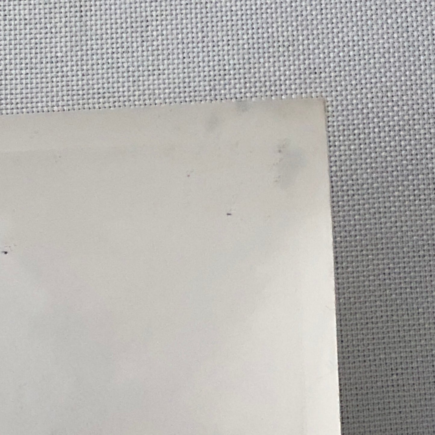 Vintage Antique Car Rally Photo Photograph Print - Guy Griffiths Tag REA22E4