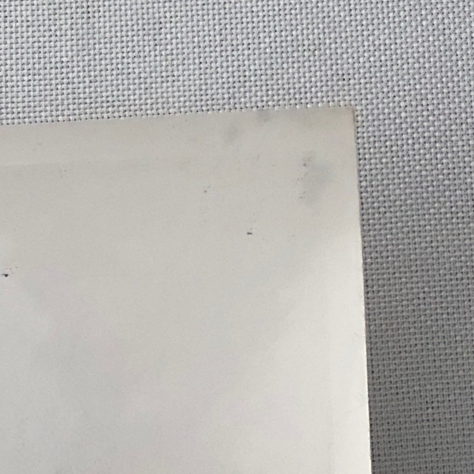 Vintage Antique Car Rally Photo Photograph Print - Guy Griffiths Tag REA22E4