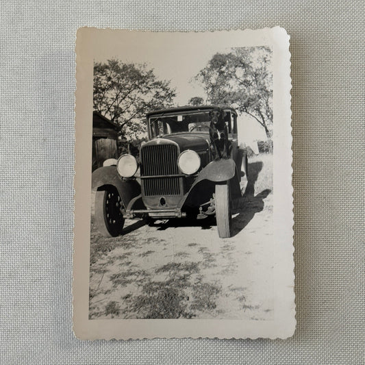 Vintage Car Photo Photograph Print Dog with Automobile Snapshot