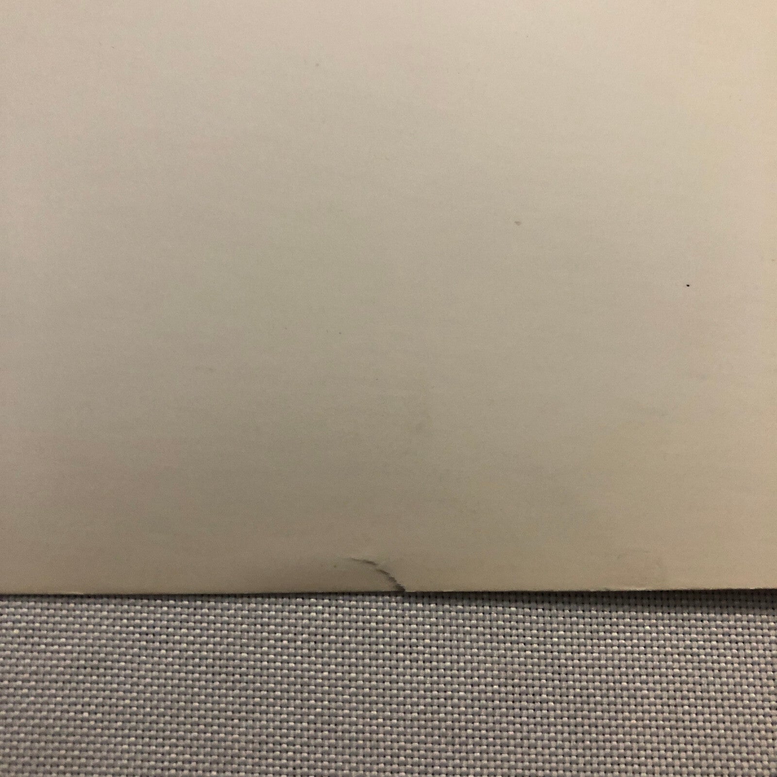 The Lawless Movie Film Photo Photograph MacDonald Carey Gail Russell 1950