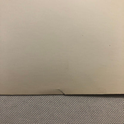 The Lawless Movie Film Photo Photograph MacDonald Carey Gail Russell 1950