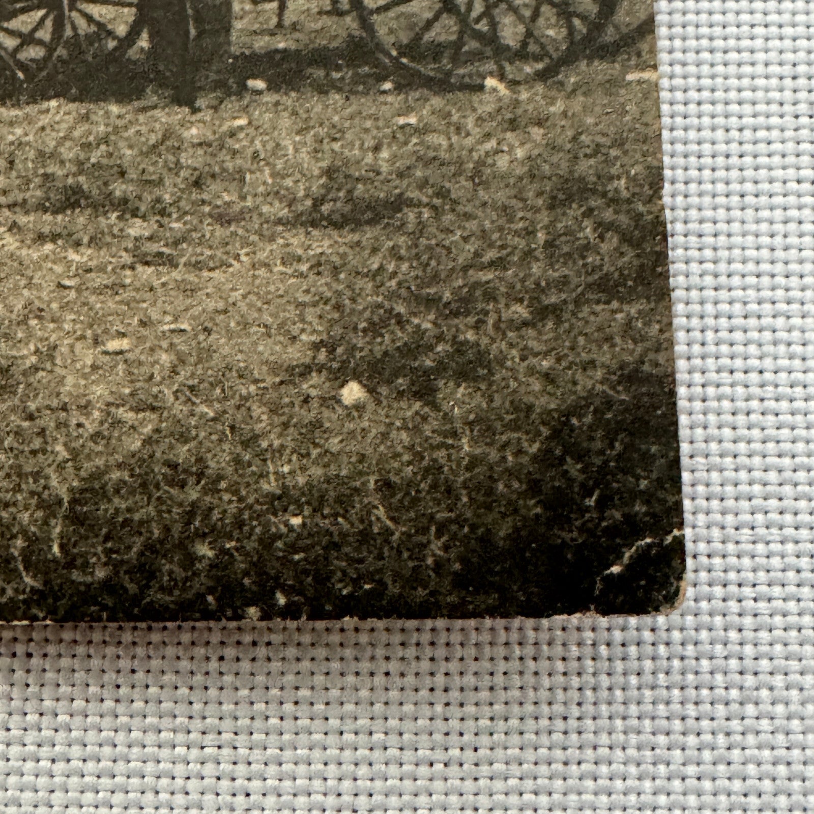 Vintage Car Automobile Postcard Post Card Italy Italian Horse Drawn Wagon