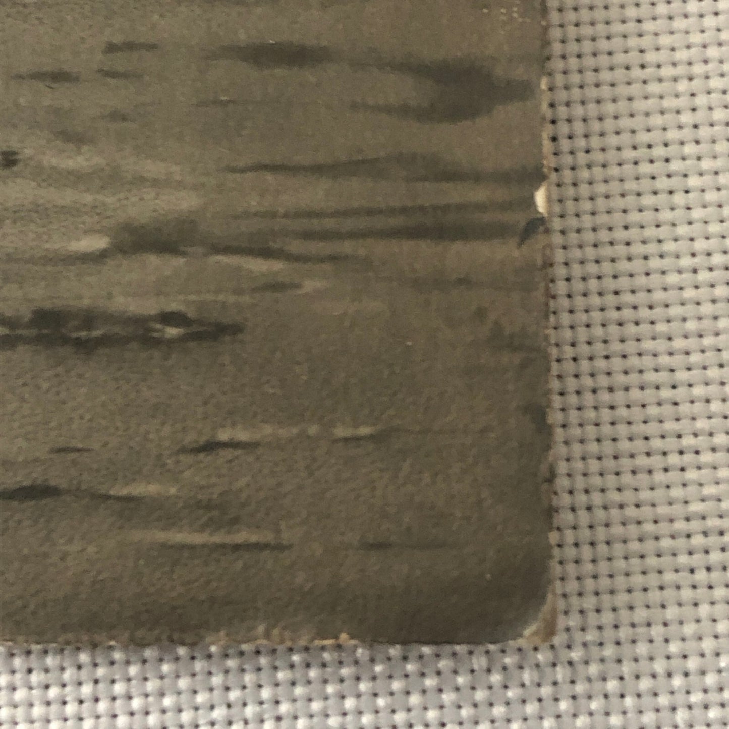 Circus Acrobat Act Postcard Post Card Vintage Les Rijnders