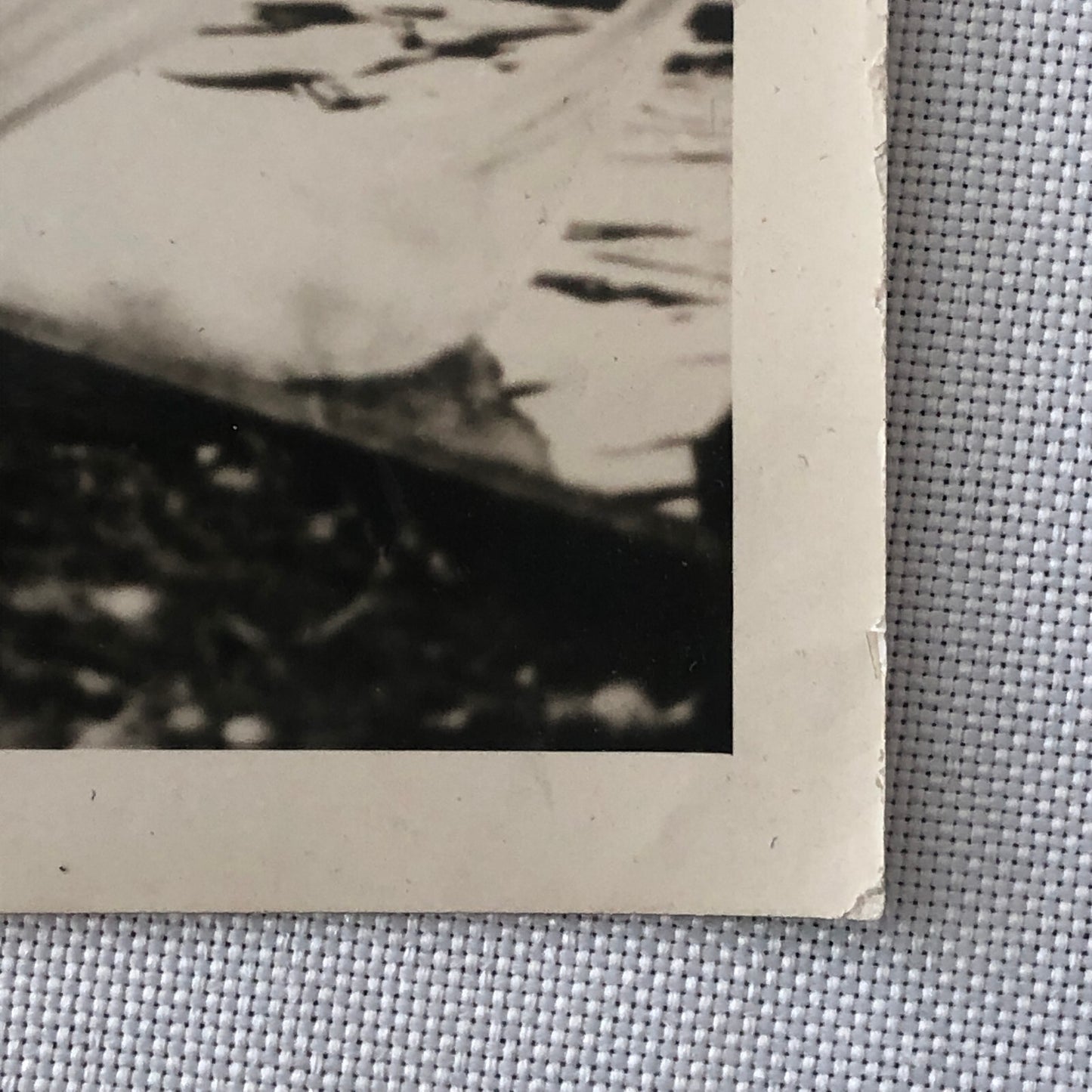 Vintage Press Photo photograph Tennis Star Helen Wills Moody with Swans England