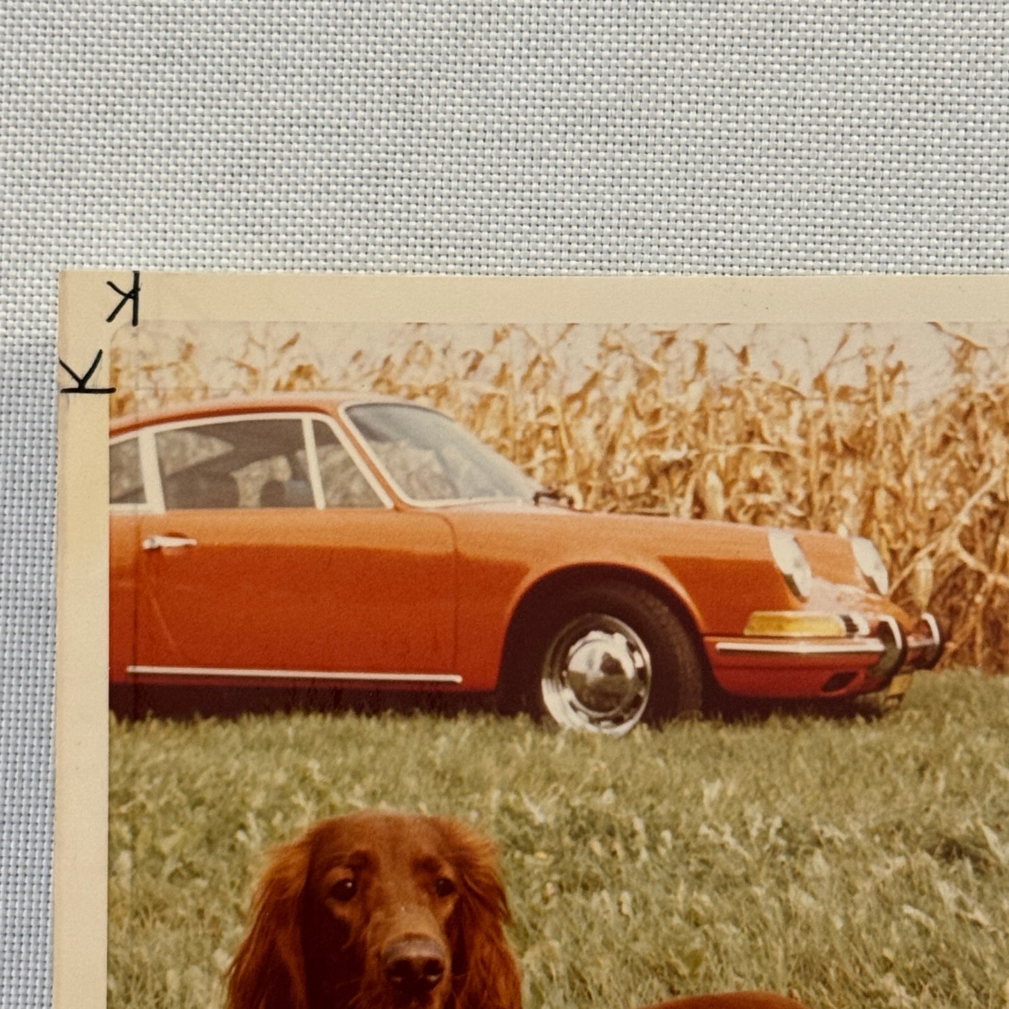 Porsche 911 with Dog Photo Photograph Print Vintage