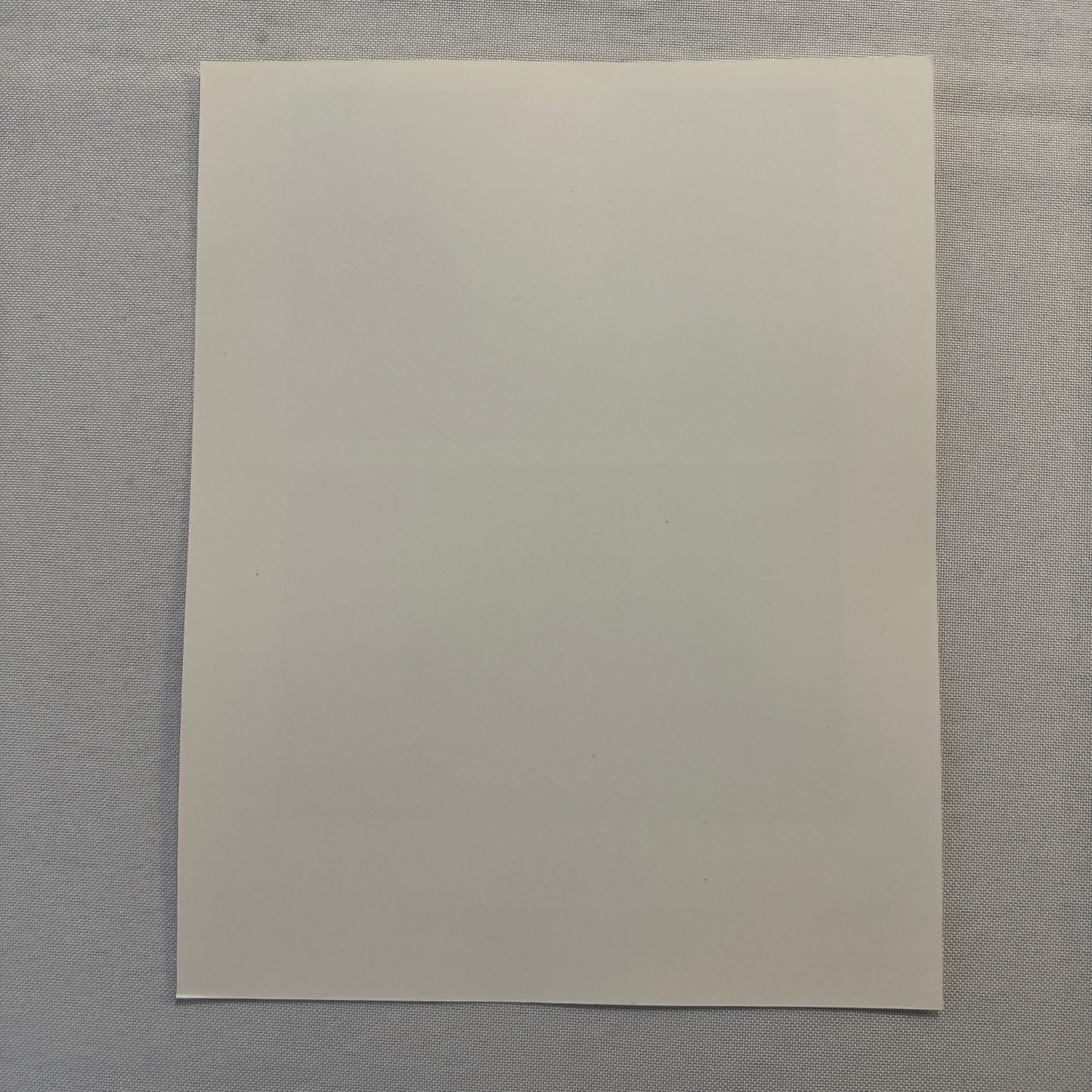 The Man in the Iron Mask Movie Press Photo Publicity Photograph Jeremy Irons