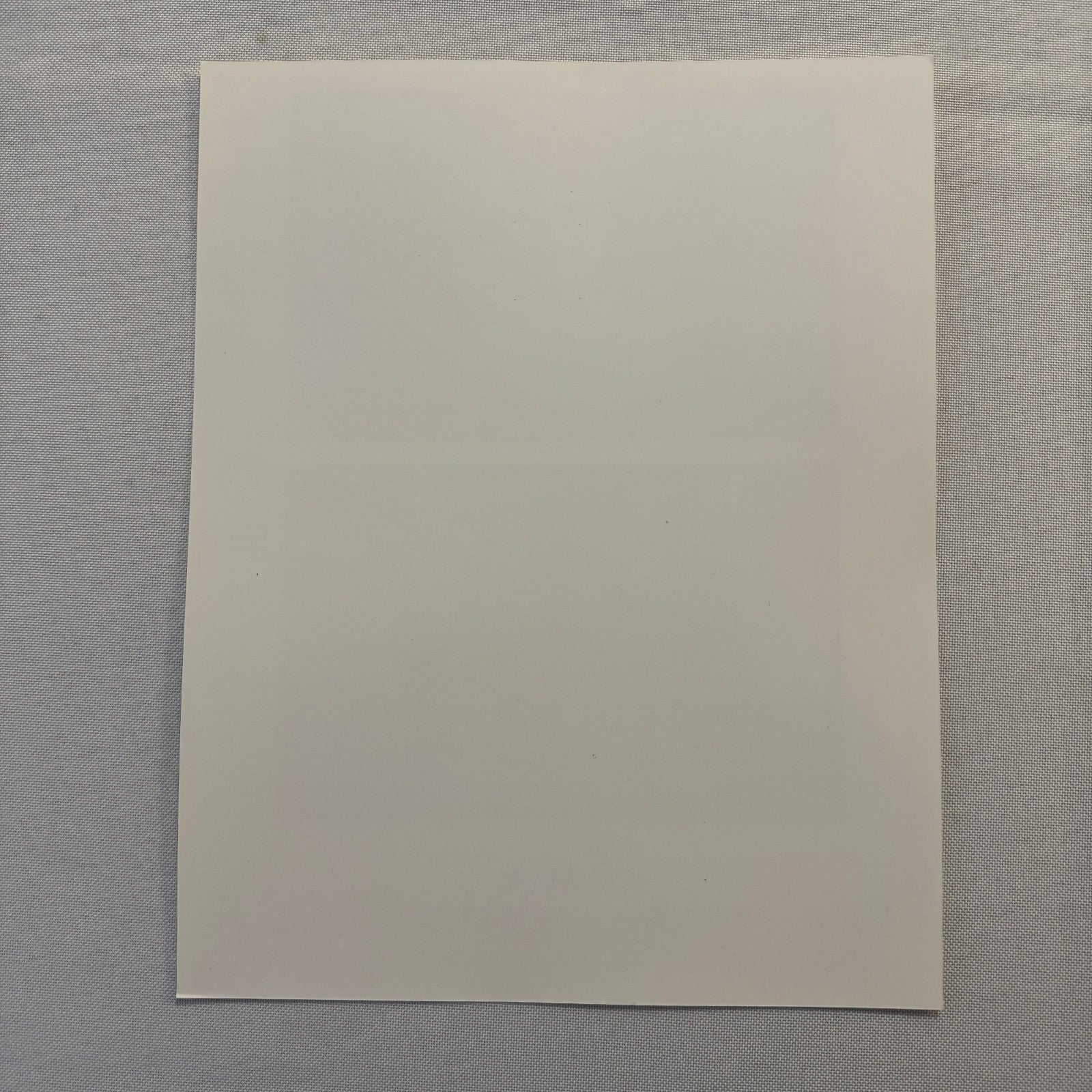 The Man in the Iron Mask Movie Press Photo Publicity Photograph Jeremy Irons