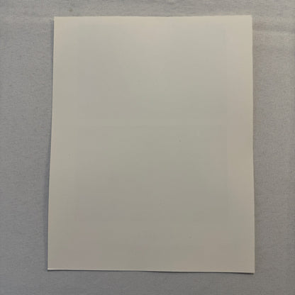 The Man in the Iron Mask Movie Press Photo Publicity Photograph Jeremy Irons