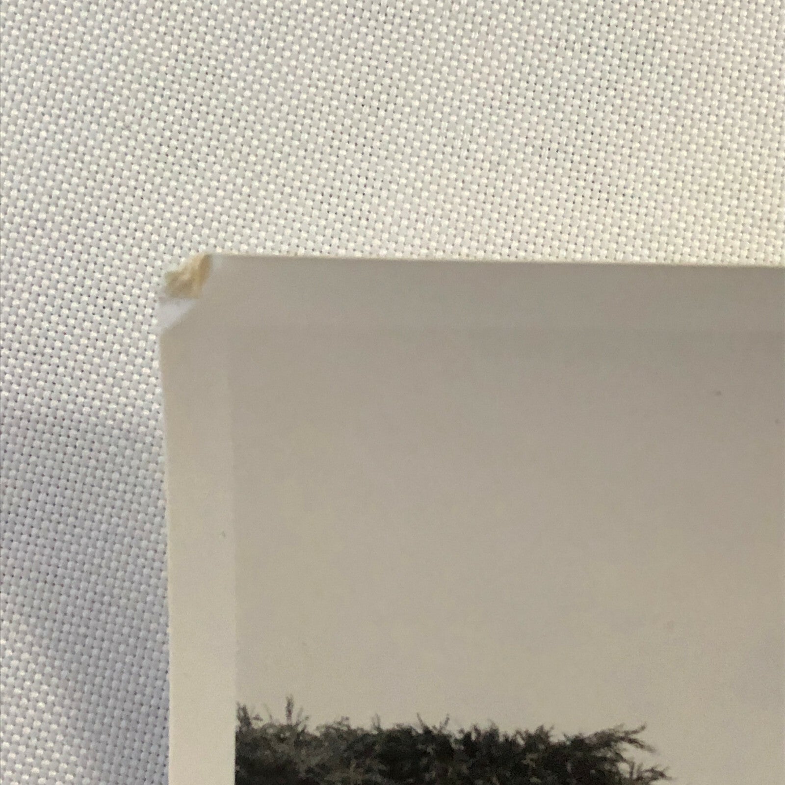 Vintage Car Photo Photograph Print - Sothebys Auction ? 
