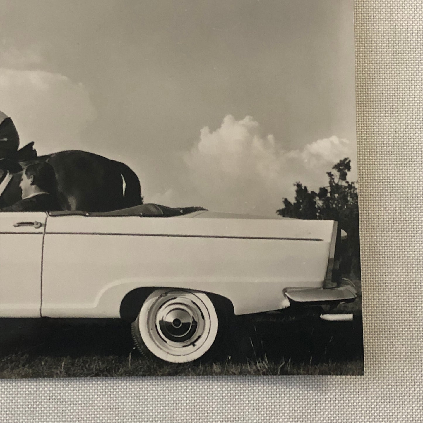 Auto Union DKW F12 Roadster Convertible Car Photo Photograph Vintage