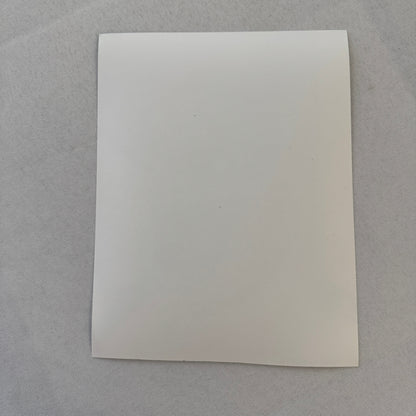 John Andretti Racing Driver Photo Photograph Print Porsche