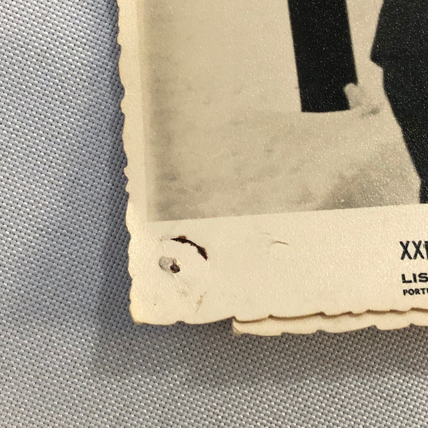 Vintage Rallye Automobile Monte Carlo Men Snowball Fight Photo Photograph Lot 3x