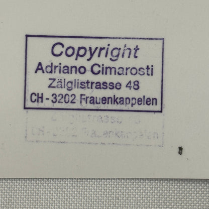 1960 LeMans Aston Martin DBR1 Racing Car Vintage Image Modern Print Ian Baillie