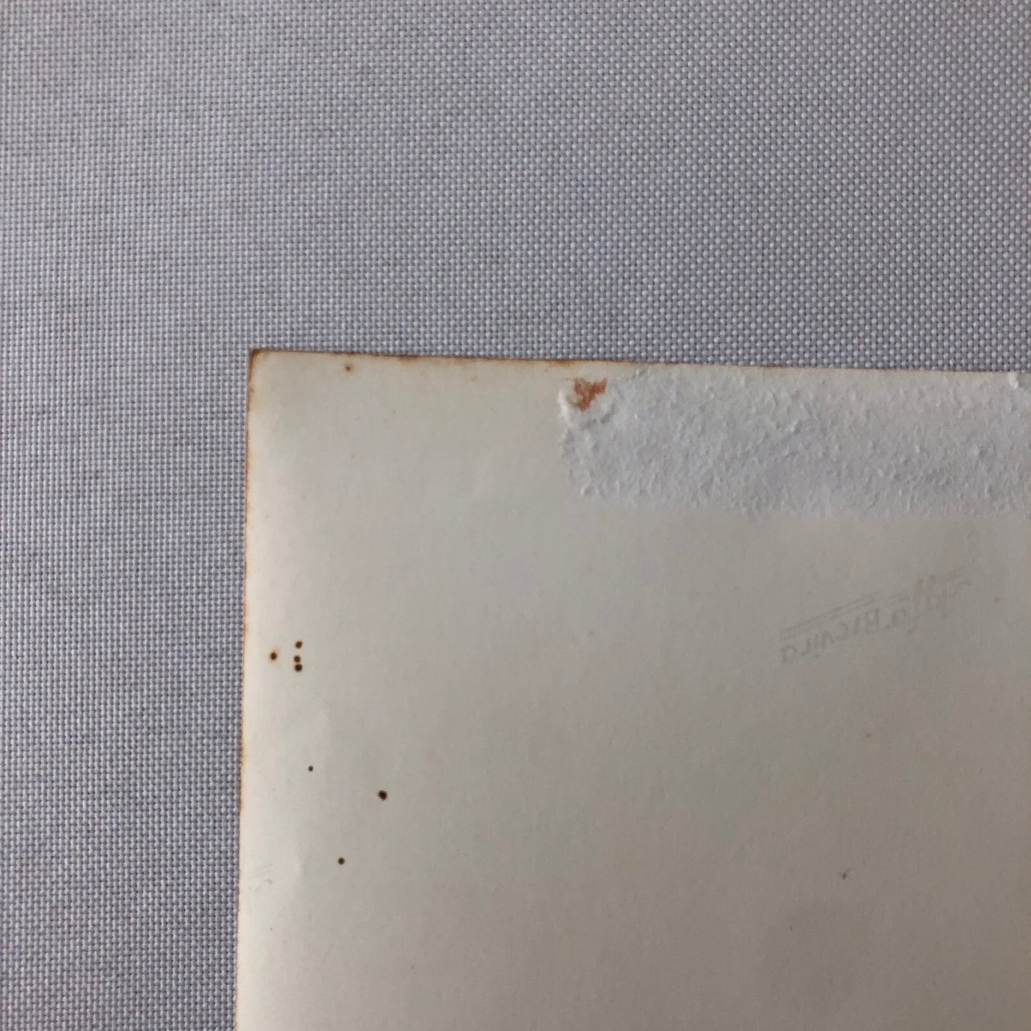 Circus Performer Wild West Show Rope Act Troupe Collins Vintage Photo German