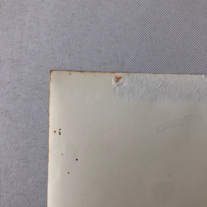 Circus Performer Wild West Show Rope Act Troupe Collins Vintage Photo German