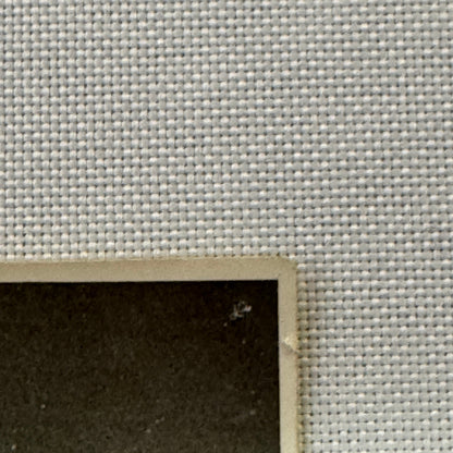 Vintage Circus Photo Les Rowlers Roller Skating Act Performer Photograph