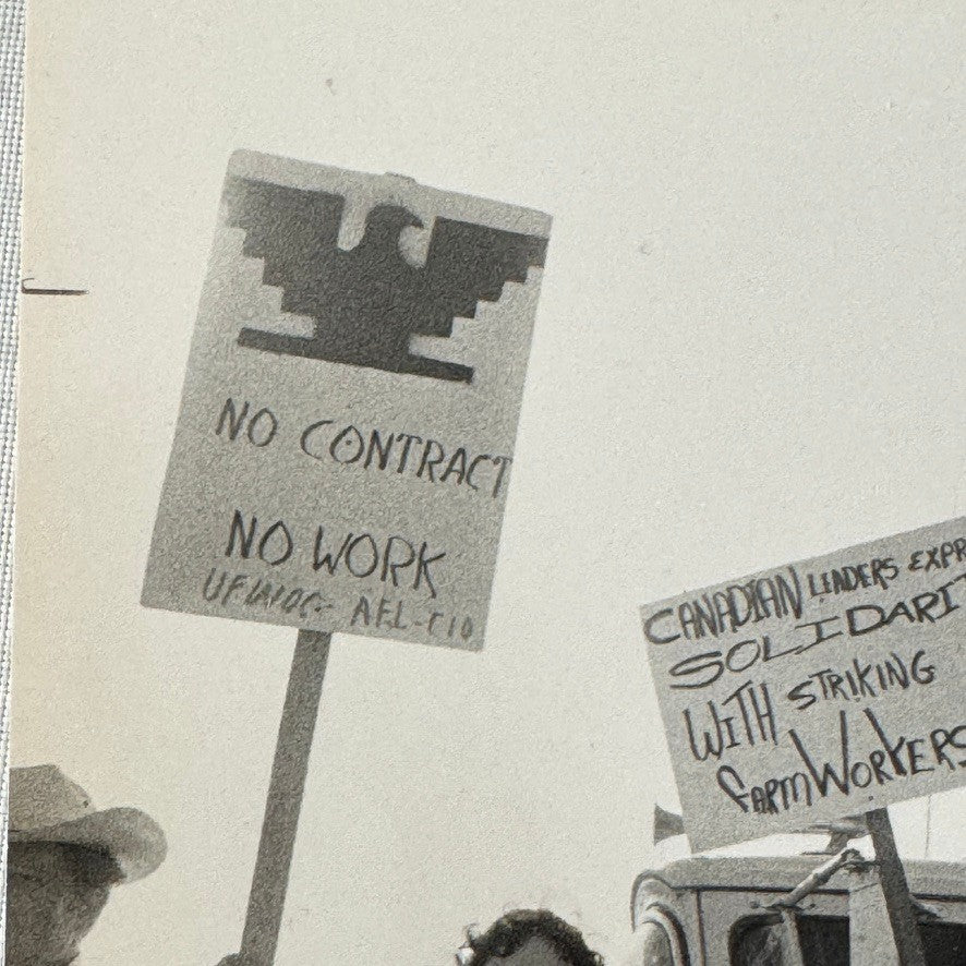 United Farmworkers Union Strike Labour Labor Canada Press Photo Photograph