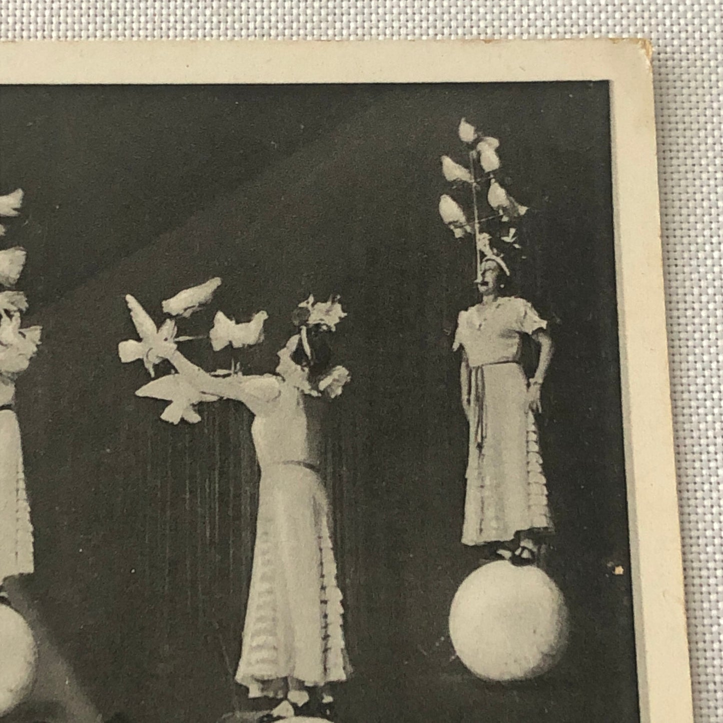 Circus Bird Training Act Postcard Post Card Vintage Mirza's Pracht Tauben Akt