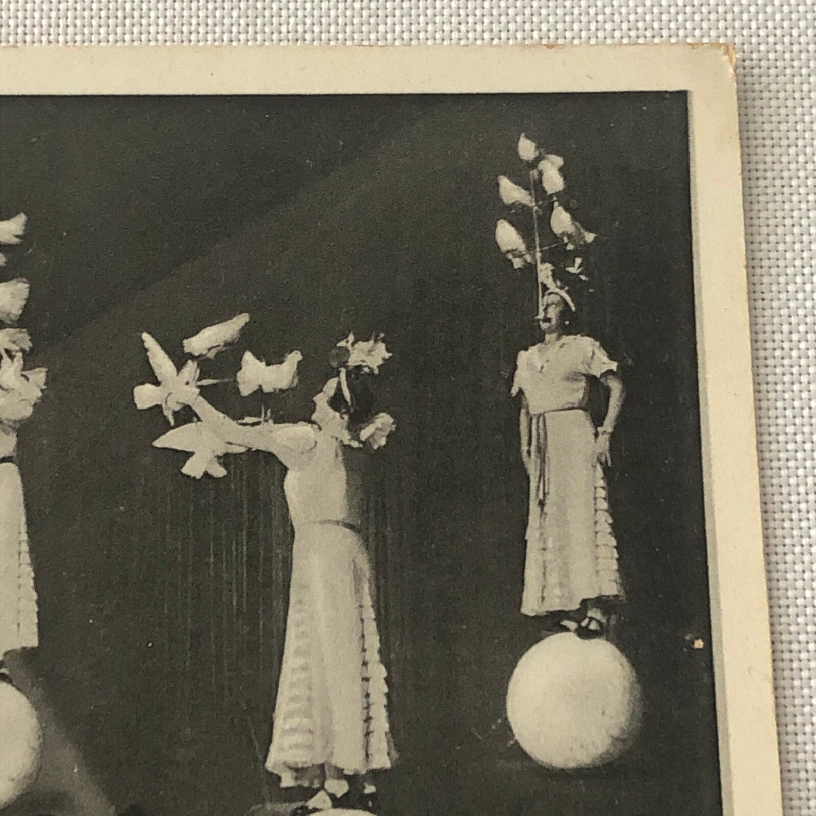 Circus Bird Training Act Postcard Post Card Vintage Mirza's Pracht Tauben Akt
