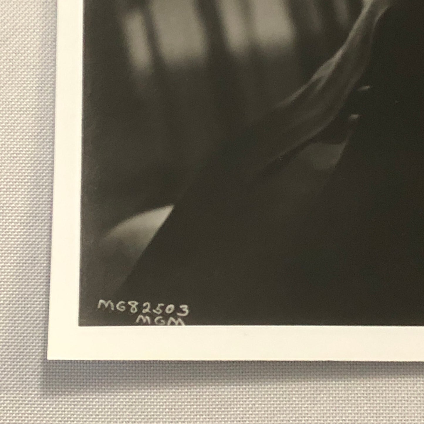 Lana Turner Hollywood Movie Star Actress Photo Photograph Print Beautiful