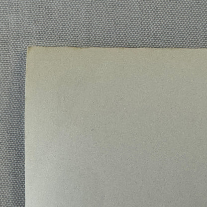 Vintage Racing Photo Photograph Driver Sam Posey