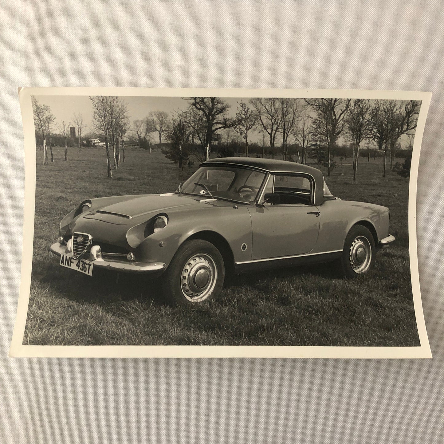 Vintage 1959 Alfa Romeo Giulia Spyder D80 Car Photo Photograph Print 