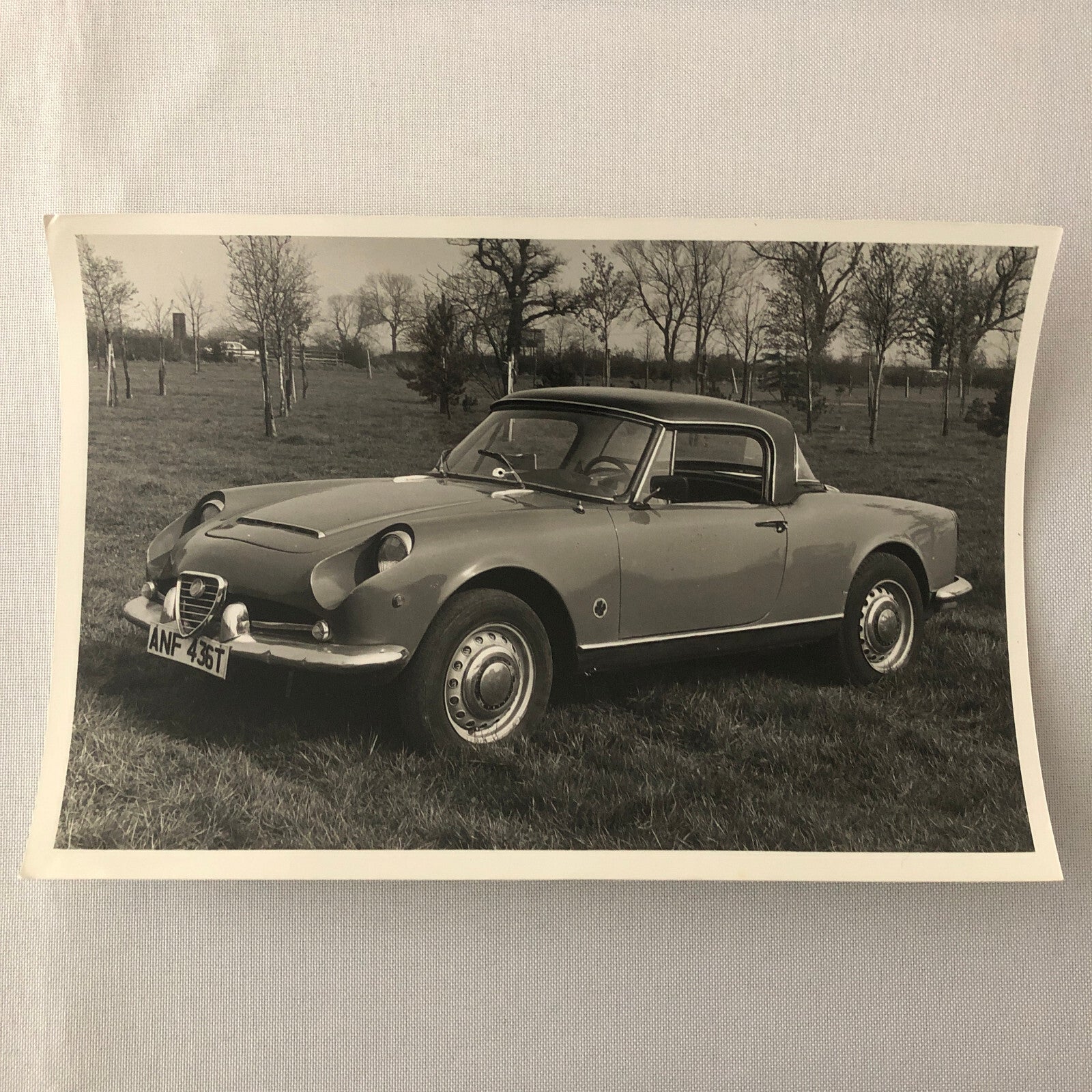 Vintage 1959 Alfa Romeo Giulia Spyder D80 Car Photo Photograph Print 