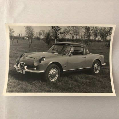 Vintage 1959 Alfa Romeo Giulia Spyder D80 Car Photo Photograph Print 