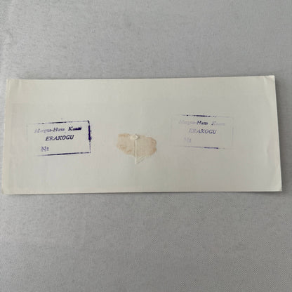 George Follmer and Mark Donohue Porsche Audi L&M Racing Photo Photograph Print