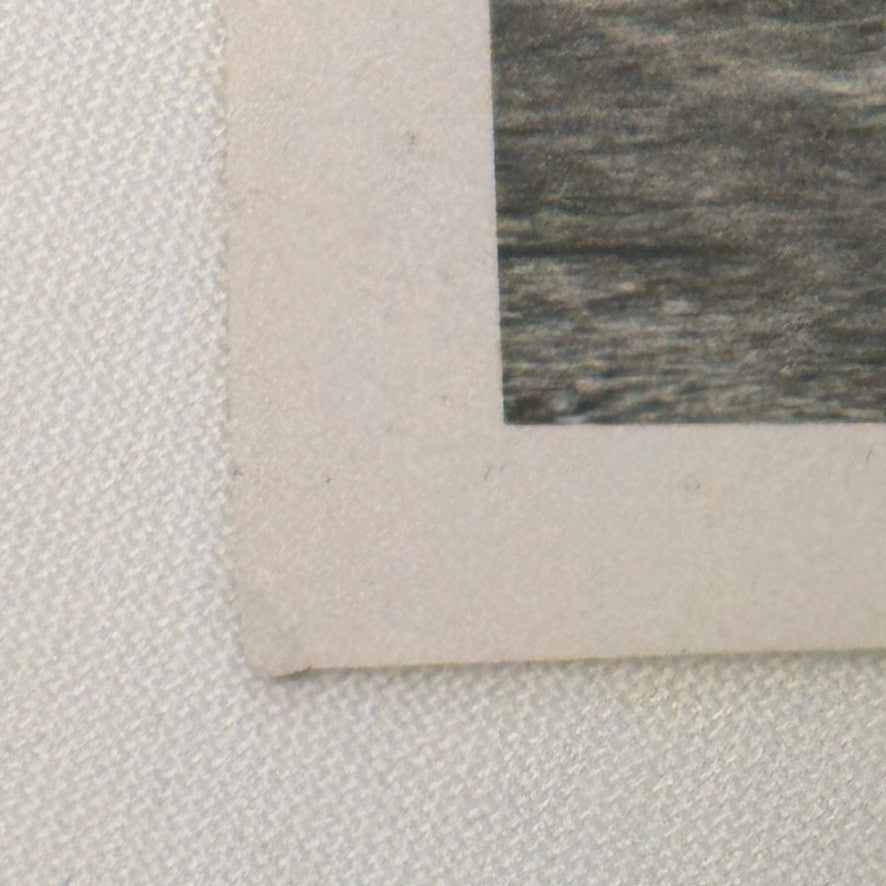 1948 Delahaye 135S Grand Prix Racing Photo Crash Wreck Accident Modern Print