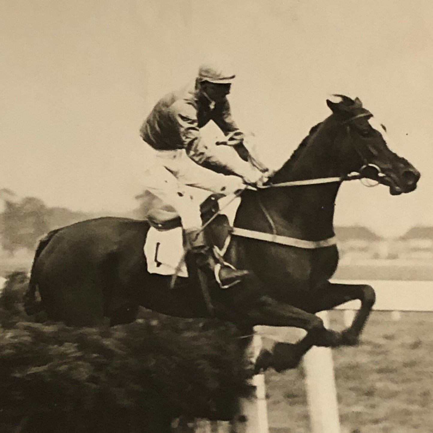 Press Photo Photograph Horse Racing Hurdle Race at Northelt Park London 1933