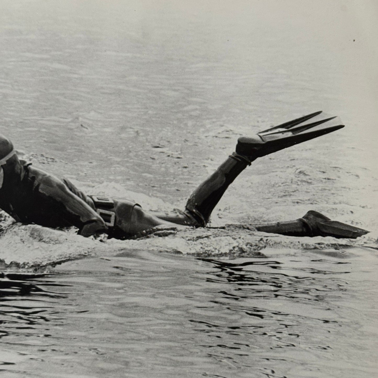 Vintage Movie Still Press Photo Photograph Namu the Killer Whale 1966