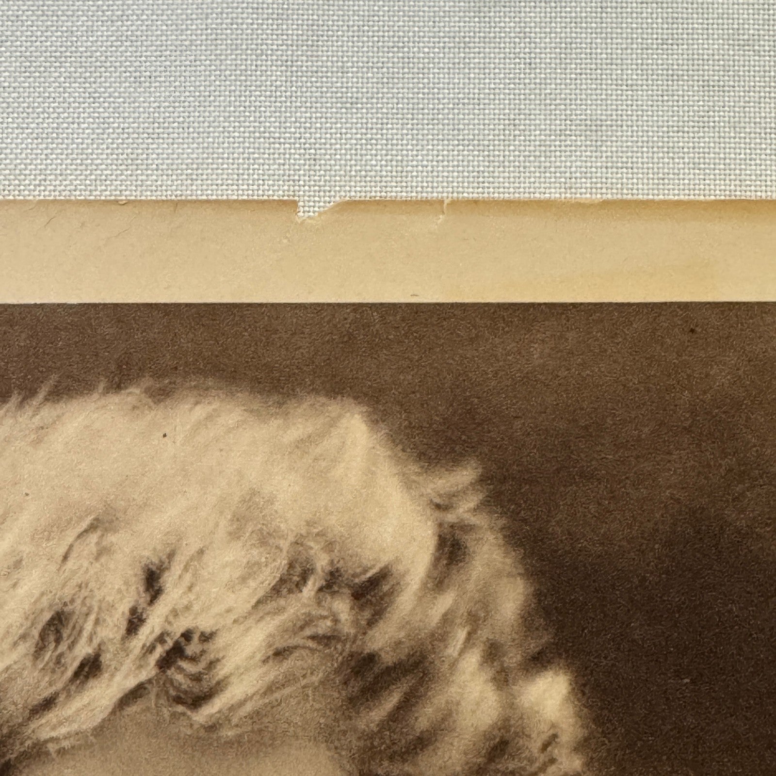 Percy Grainger Australian Composer Pianist Musician Photo Photograph Print