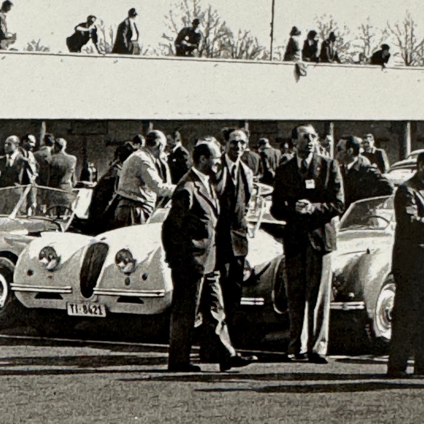 1952 Swiss Car Racing Club at Monza Photo Photograph Jaguar Porsche Modern Print