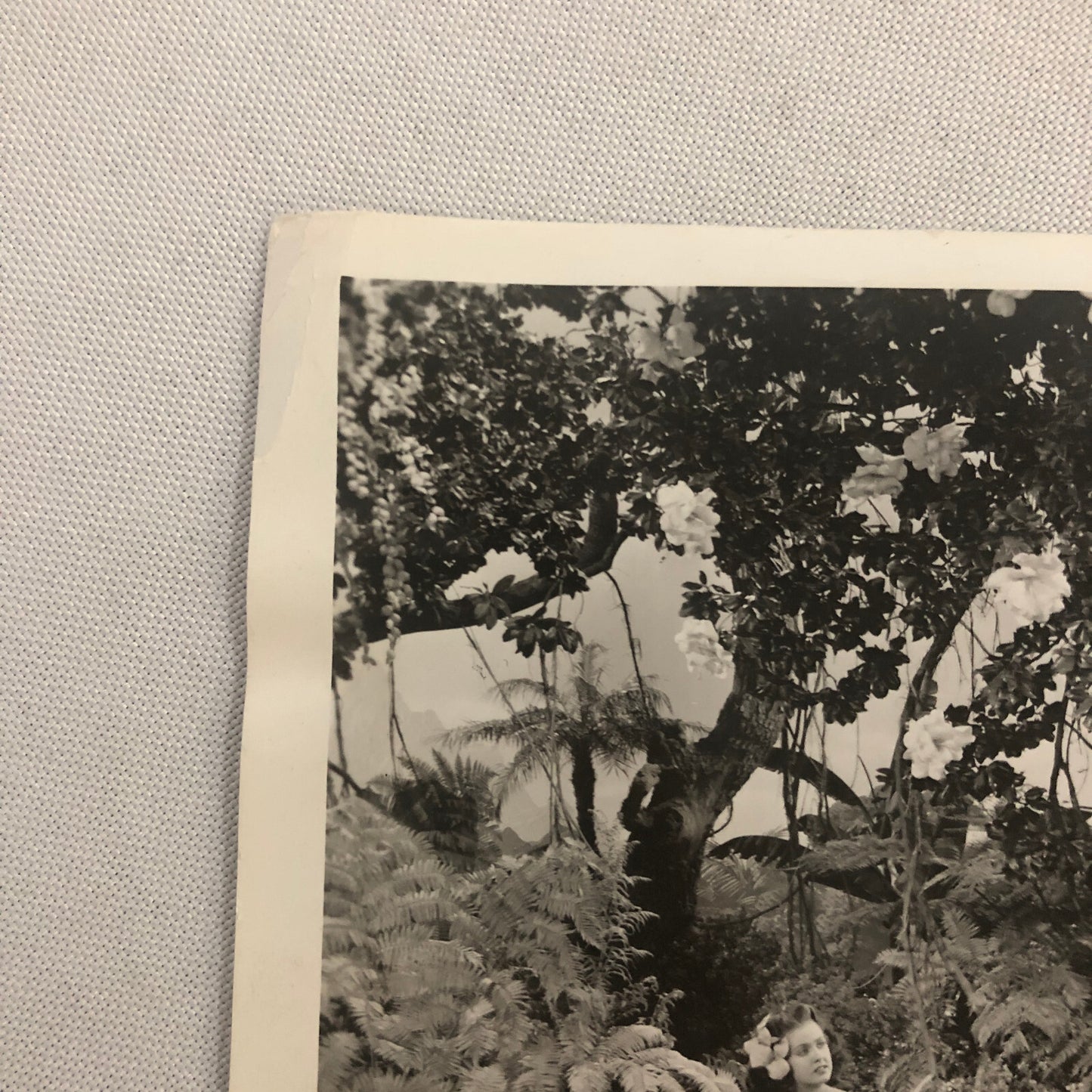 Rainbow Island 1943 Movie Still Press Photo Photograph Dorothy Lamour +