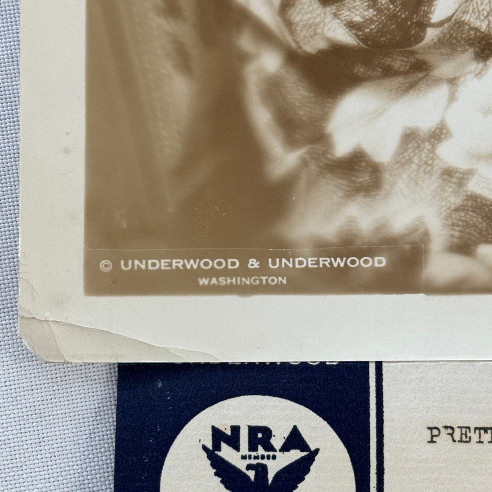 1933 Society Woman Press Photo Photograph Mexican Embassy Washington DC