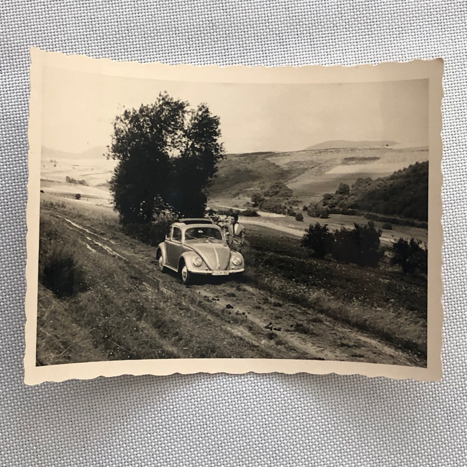 Vintage Photo Photograph Snapshot VW Volkswagen Beetle Bug Car
