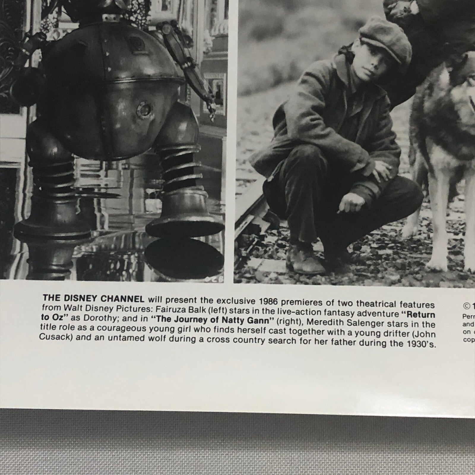 Disney Channel Movie Press Photo Photograph Return to Oz Journey of Natty Gann