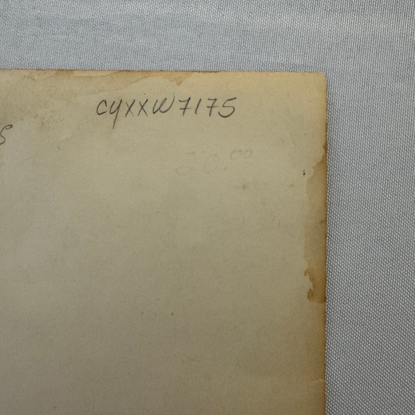 Vintage Wrestling Photo Photograph Buddy Rogers Wrestler