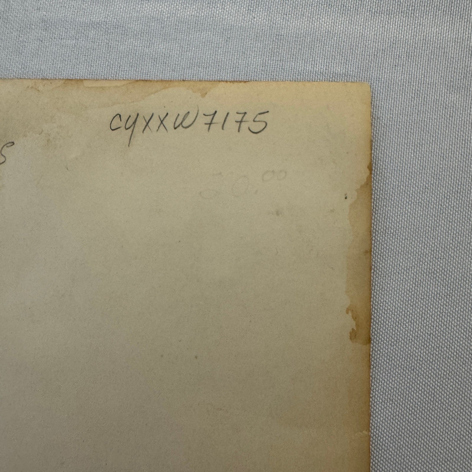 Vintage Wrestling Photo Photograph Buddy Rogers Wrestler