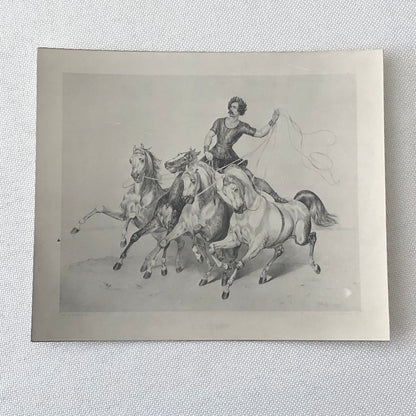 Vintage Photograph of Painting Man on Horse Horseback Ilustration Photo